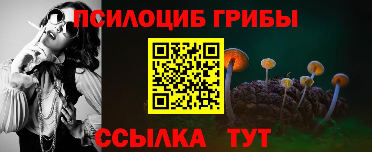 Галлюциногенные грибы Cubensis  Вход с VPN  Новоалтайск 